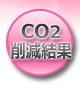 CO2�팸����