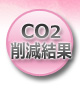 CO2�팸����